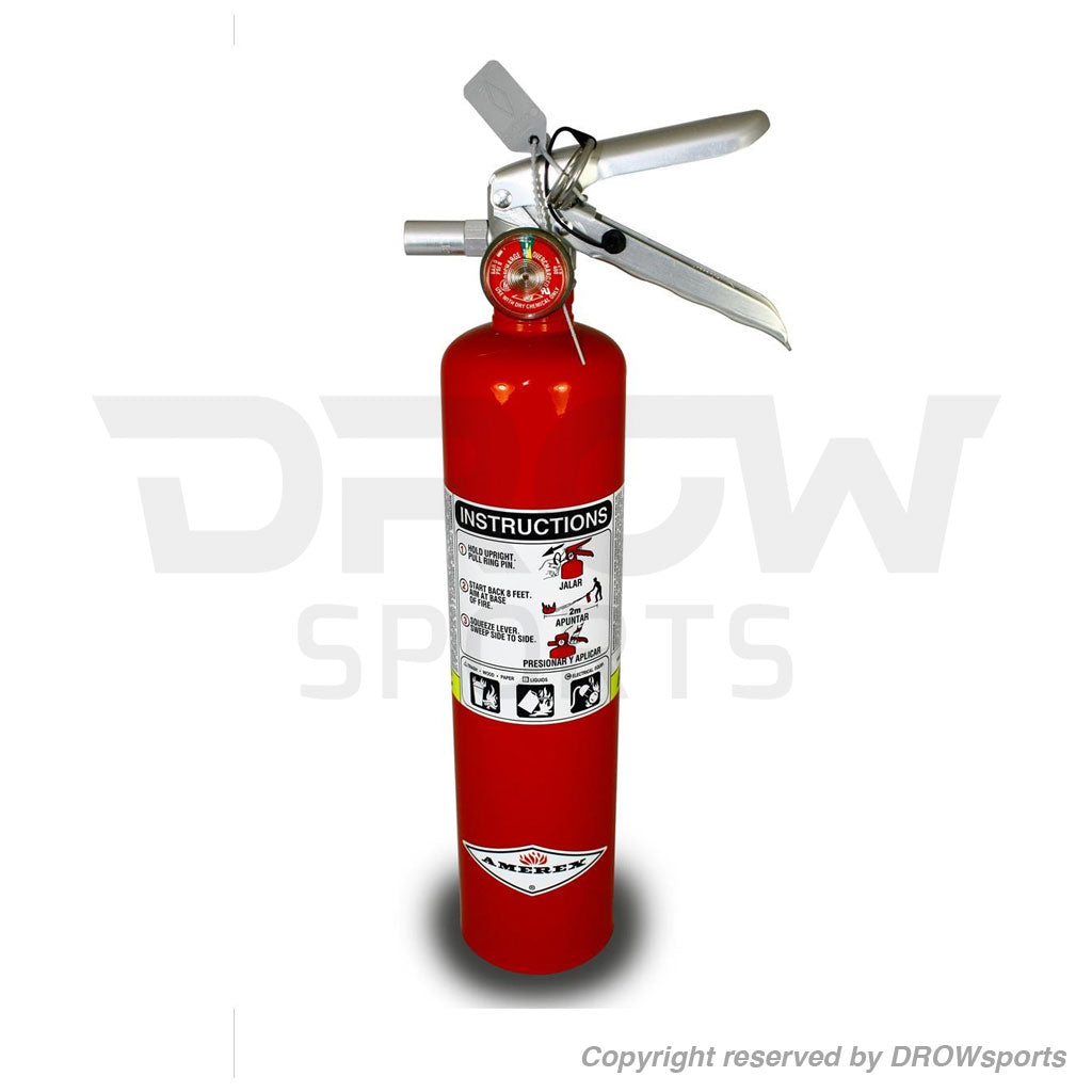 Dragonfire 2.5 lb ABC Fire Extinguisher 